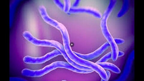 PROOF IS HERE: ALL PARASITES > ALMOST ALL DISEASES LIKE CANCER, LYME, LEUKEMIA, etc