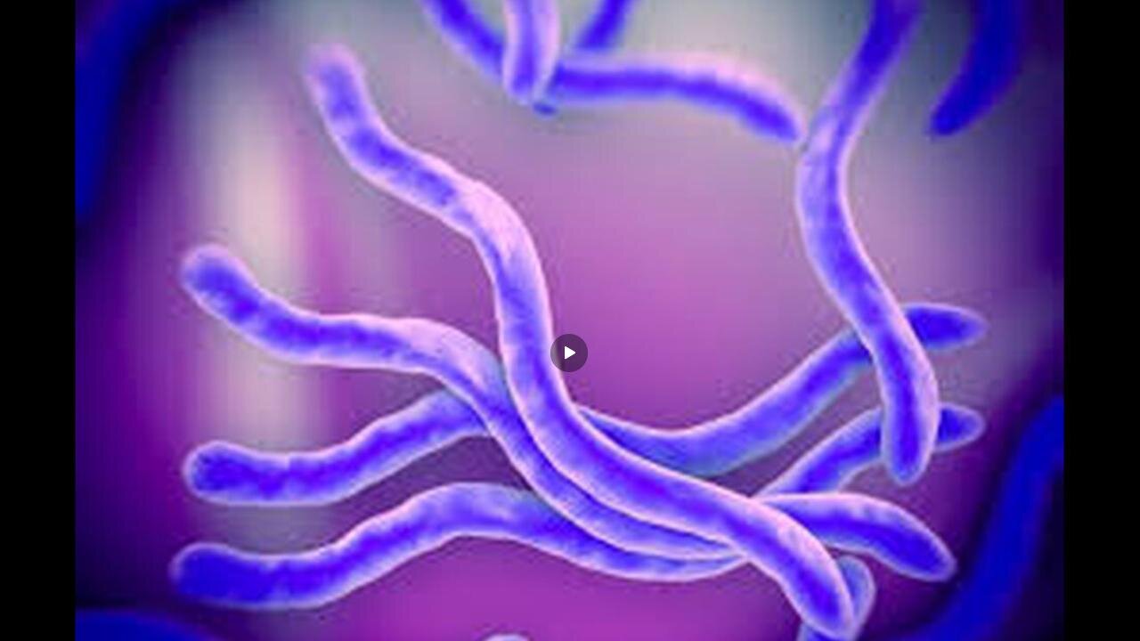 PROOF IS HERE: ALL PARASITES > ALMOST ALL DISEASES LIKE CANCER, LYME, LEUKEMIA, etc