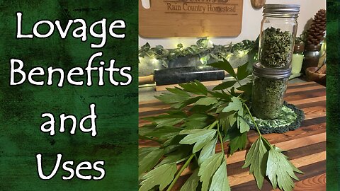 The Benefits and Uses of Lovage
