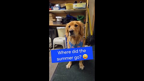 Where did the summer go?