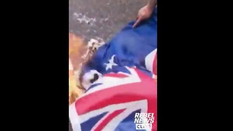 Avi and Burning Of Israhell Flags