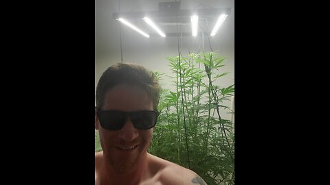 End of week 3 after flip to 12/12