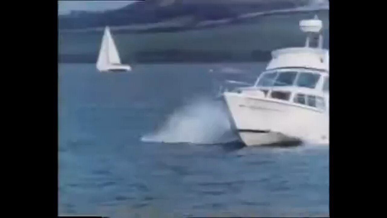 The Sea Has Many Faces