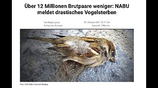 #Verbrannte_Erde; Vogelsterben in der BRD