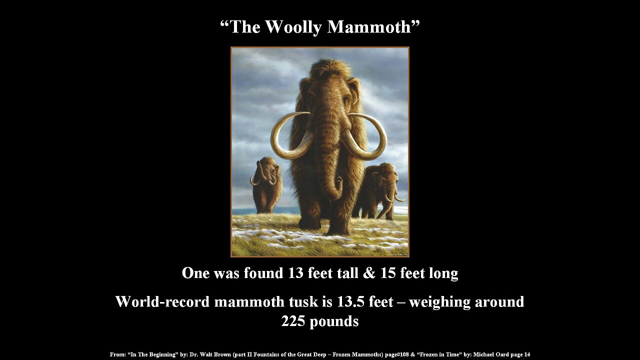 The Giant Ice Rats