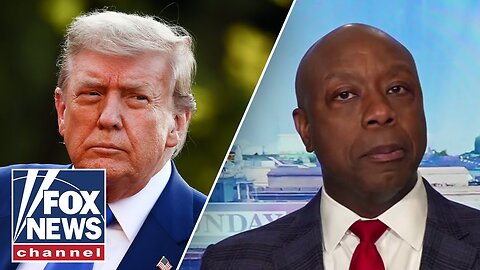 'HOGWASH': Tim Scott slams accusation against Trump
