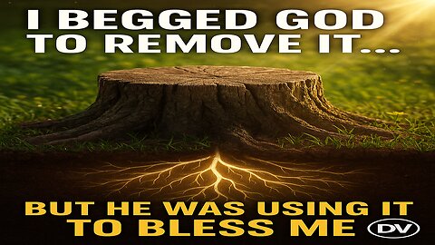 God Let the Stump Rot… Then Turned It Into a Miracle