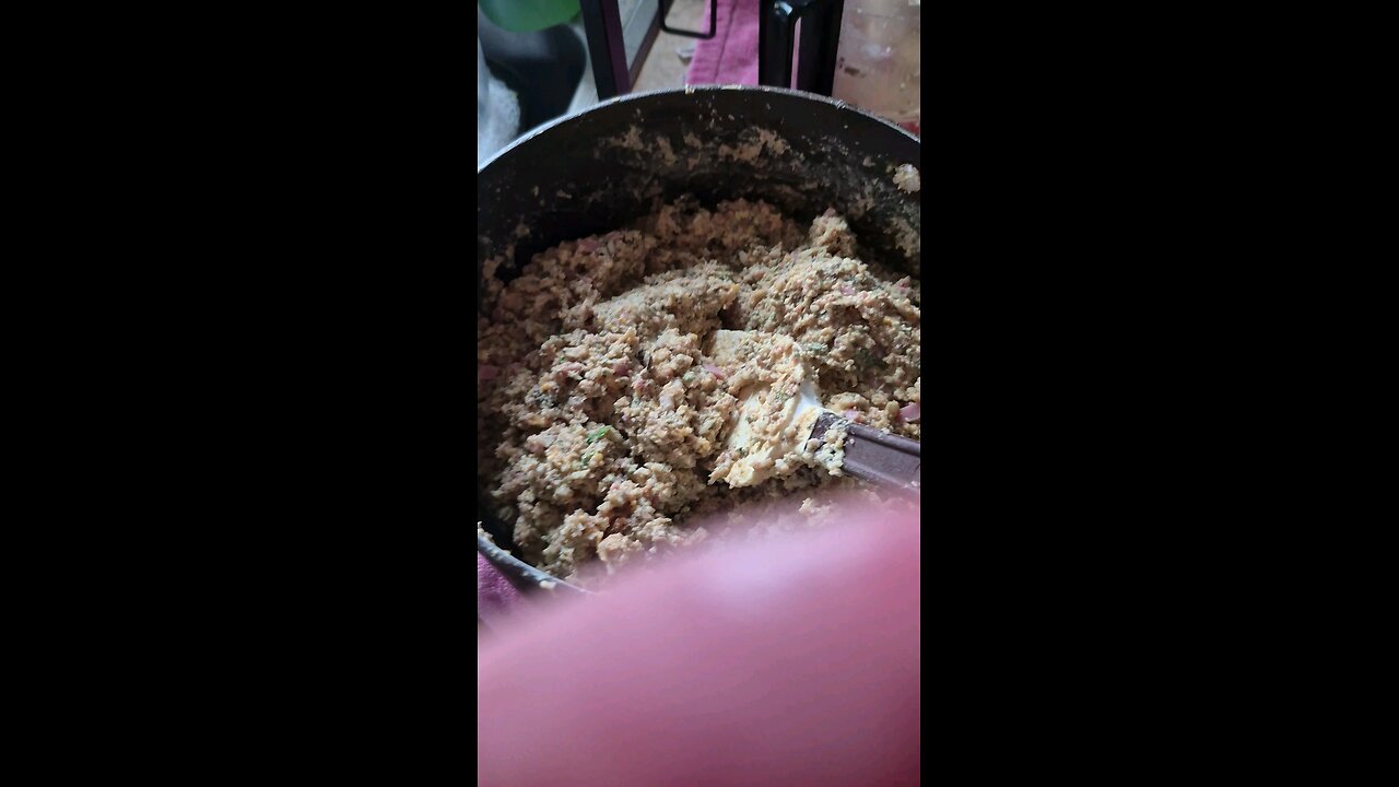 homemade dogfood