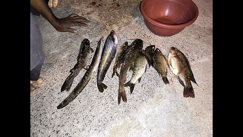 #fishes yummy 😋🤤😋🤤😋