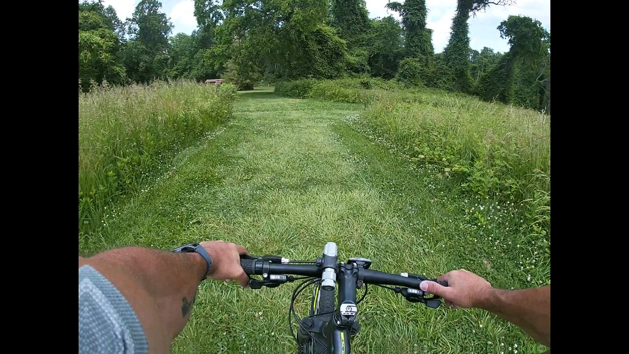 mountain bike