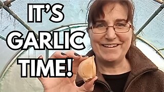 How I Plant My Garlic: Part 1 - The Polytunnel!