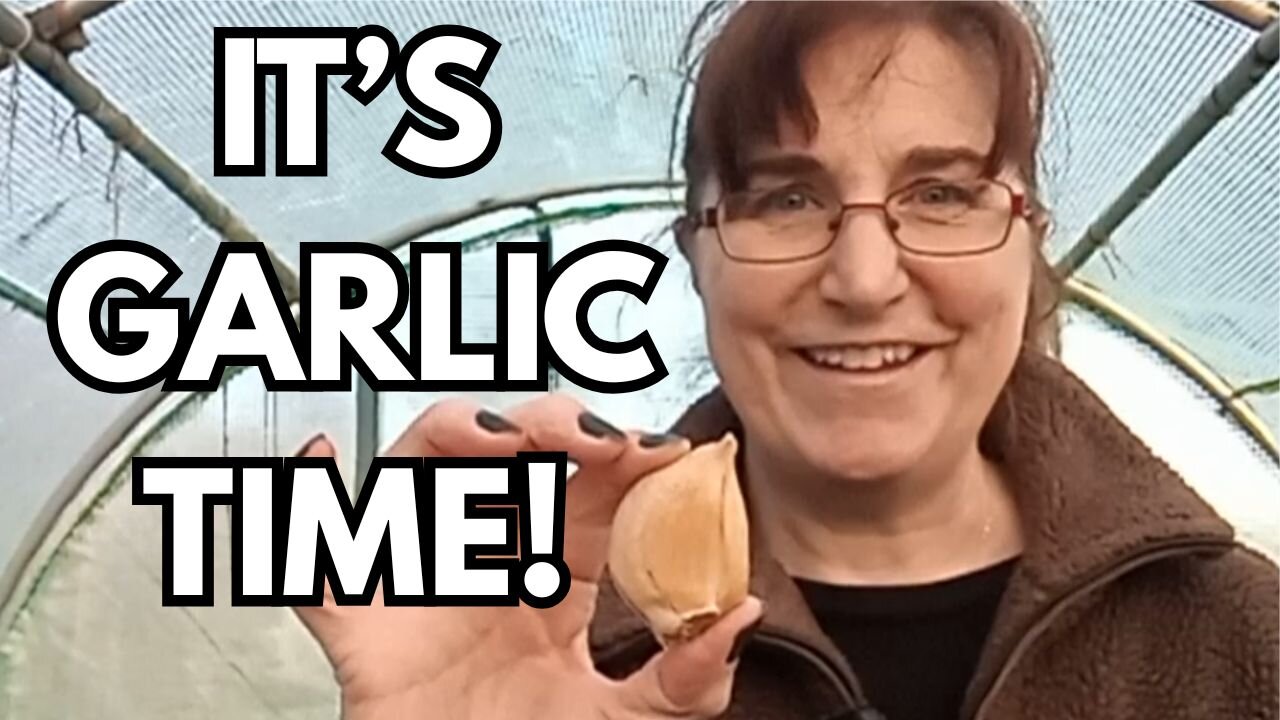 How I Plant My Garlic: Part 1 - The Polytunnel!