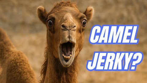 We Found the Strangest Jerky Shop in Arizona!