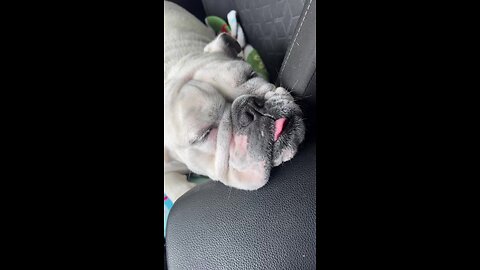 ‼ First Stream of 2026‼ I Work At UFC‼