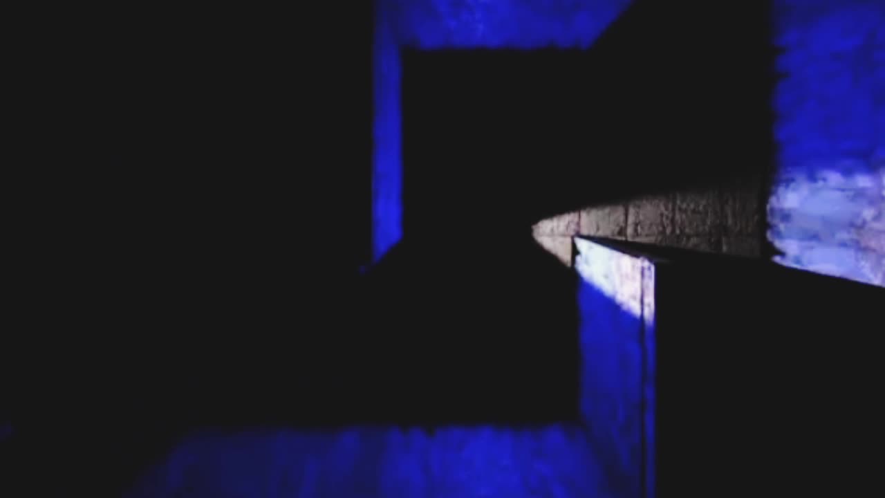 The Trap Full Walkthrough No Commentary