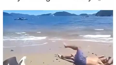 😂🐦 Even Birds Are Laughing At Us! | FunFM