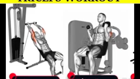 No triceps growth? Try this TODAY 🔥