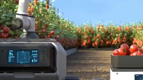Robotic HARVEST 🤖🤖🤖