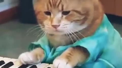 Must Watch: Famous Cats memes(Then vs Now) #meme #memes #nostalgia #catmemes