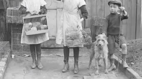 FORGOTTEN JOBS THAT NO LONGER EXIST