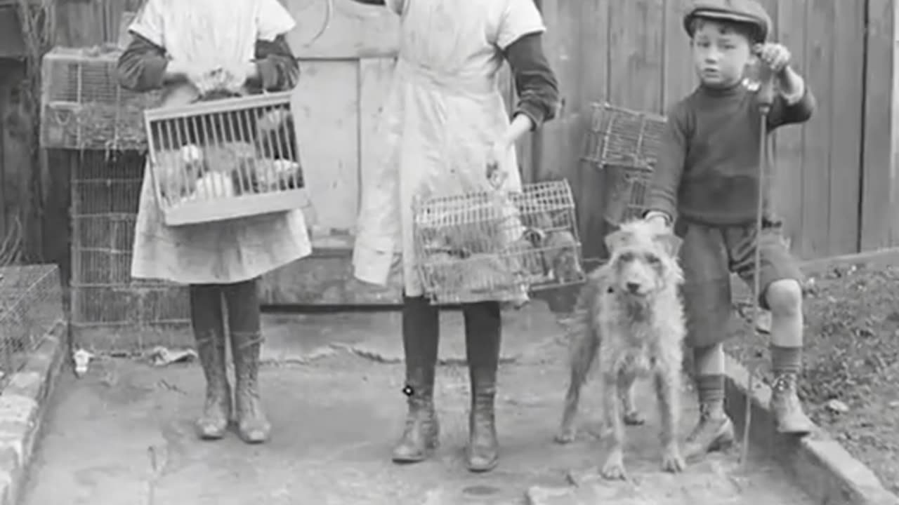 FORGOTTEN JOBS THAT NO LONGER EXIST