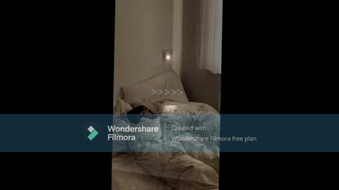 POV: You can't sleep