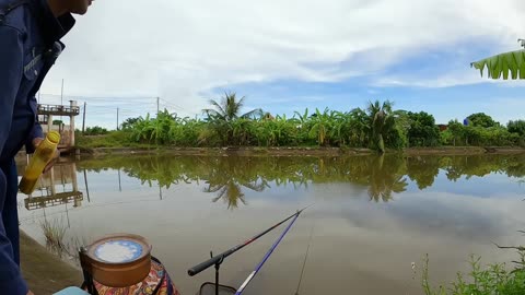 Shrimp Fly Fishing in Lake Grass Zones