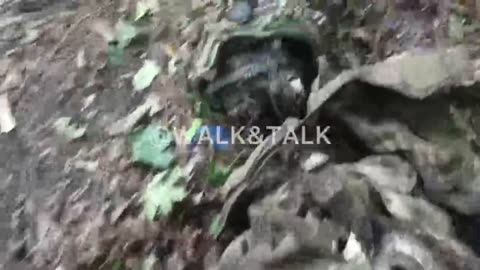 War in ukraine