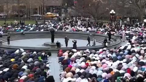 Over 500 Mosques in NY, but they take to the streets to pray in a show of force. This must end.