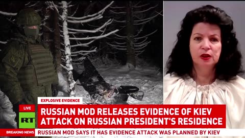 'Kiev regime attempting terrorism means they're actually losing' — Sonja van den Ende