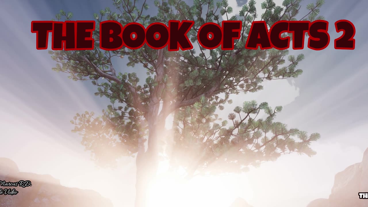 The Book of Acts 2
