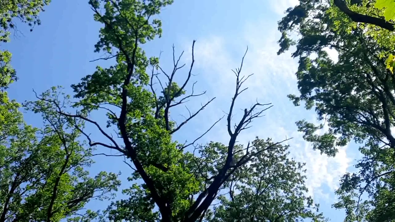 SATALICE A OKOLÍ