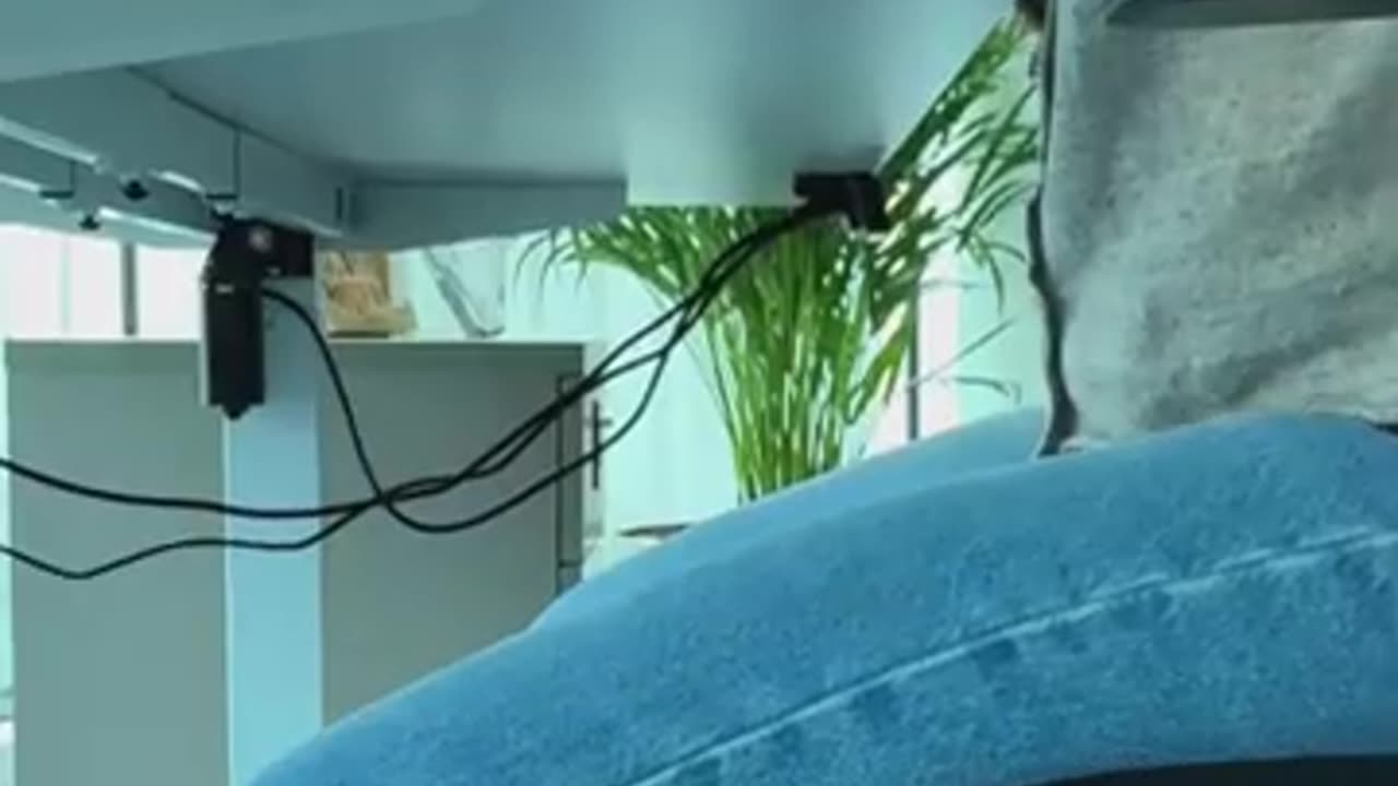 Trade Smart with the Forex Trading App Trusted by Millions