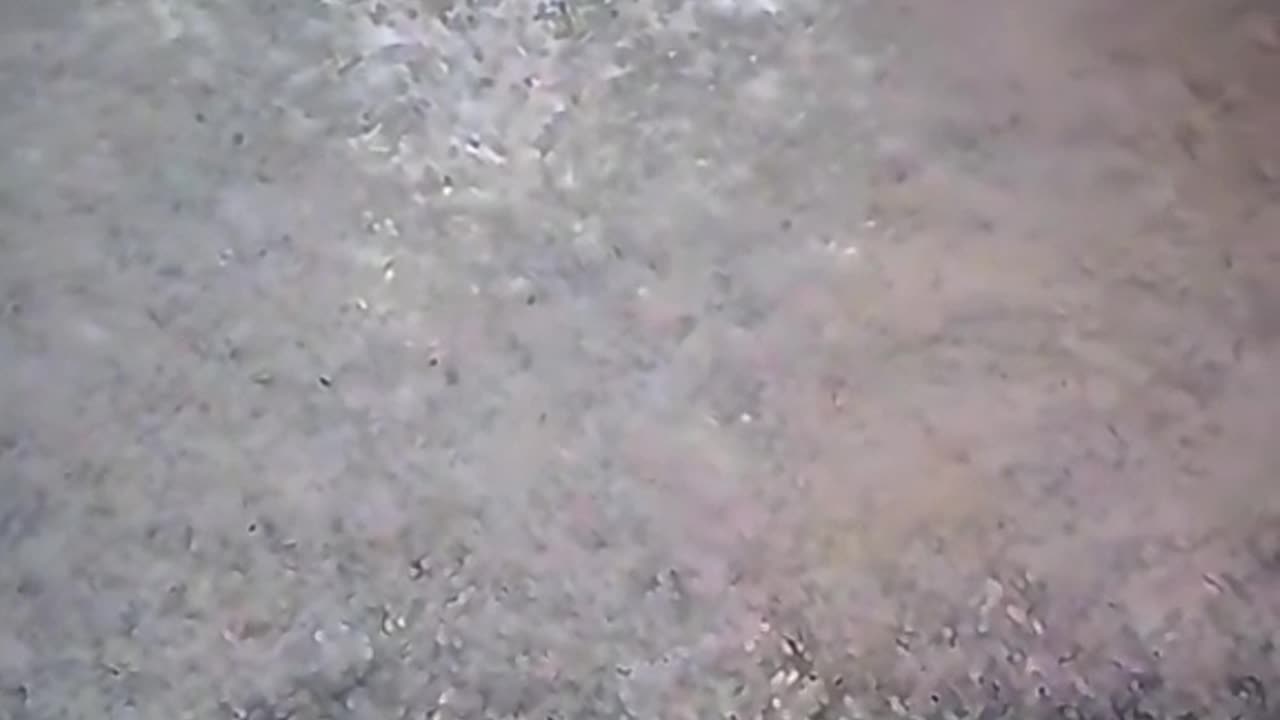 ⏳ Wait For It You WON’T Believe The Ending! 😱🔥