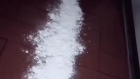 A man had been experiencing strange activity in his home, so at 3 a.m. on November 15, 2021