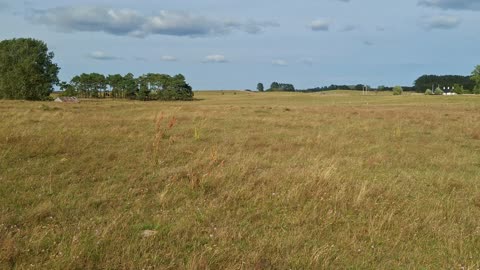 Promenad vid Backåkra naturreservat 28 Juli 2025