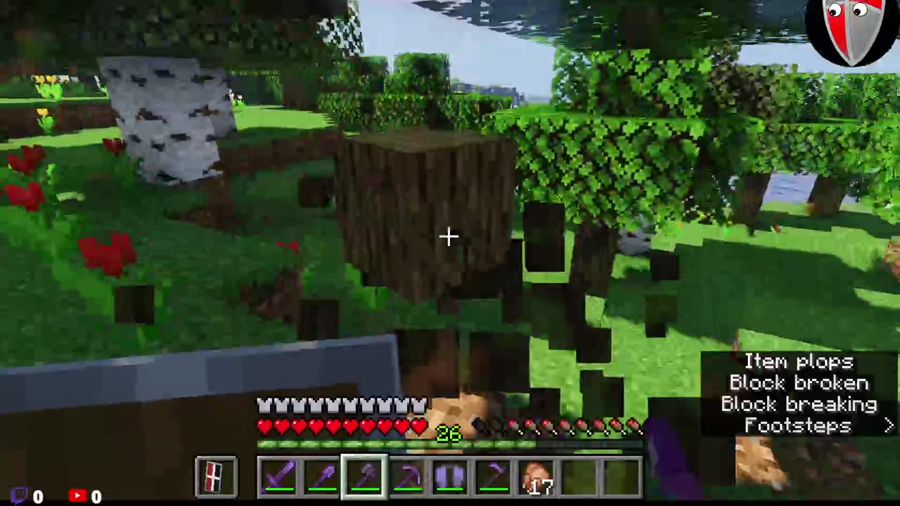 Minecraft Stream 17