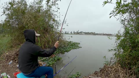 Tench Burrows in the Cool Mud