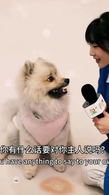 #BlankTheSeries #Faye #Yoko #FayeMalisorn #Entertainment #funny #comedy #viral #Shorts #Trend