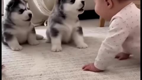 Calm & Effective Pet Training for Dogs and Cats 🐶🐱