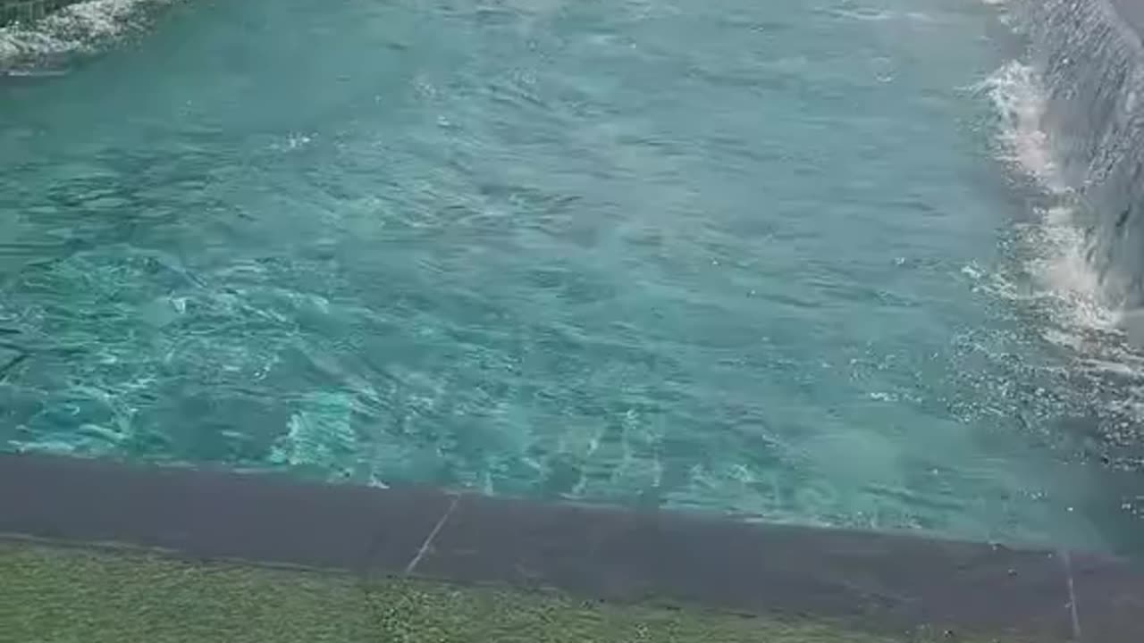 So scary, everyone was okay😧🤍