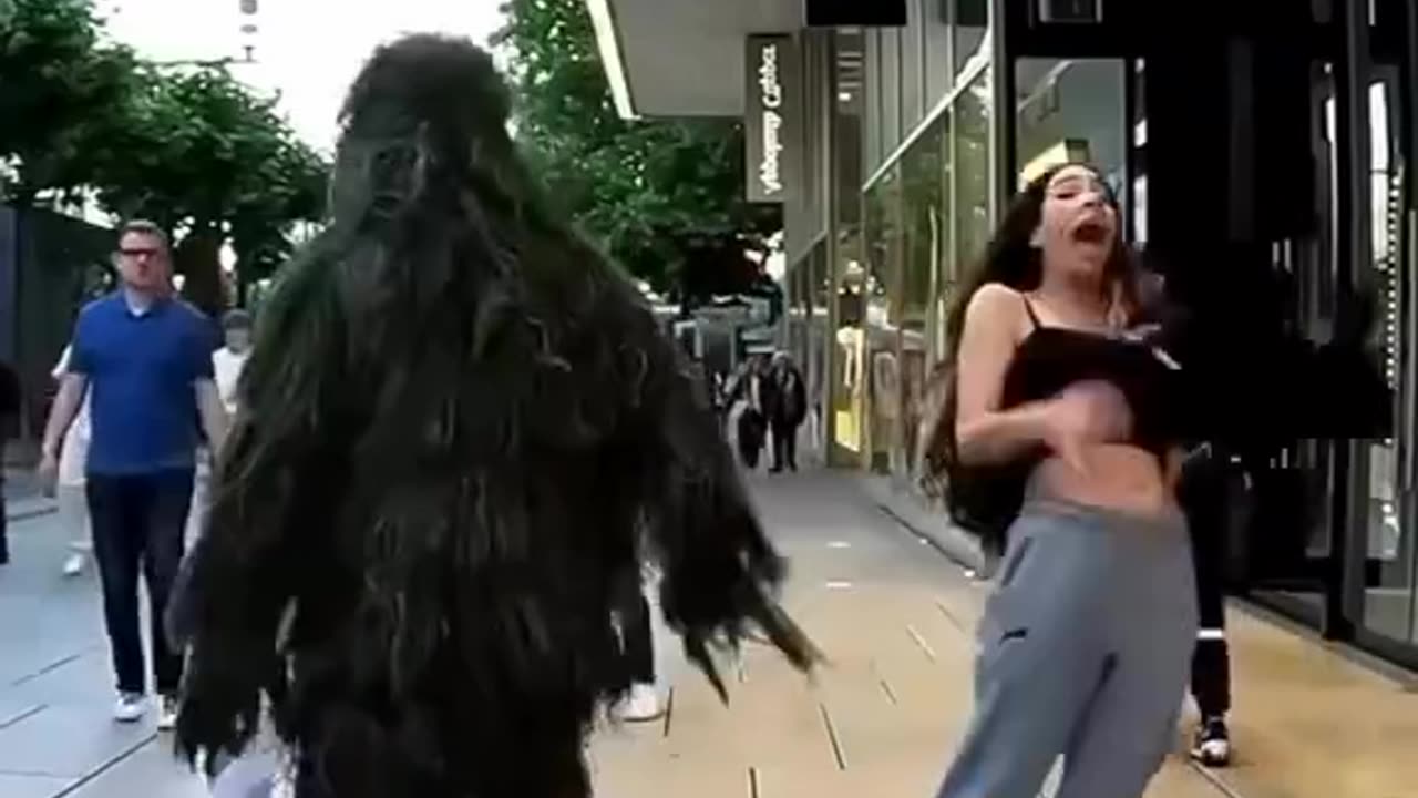 funniest clips