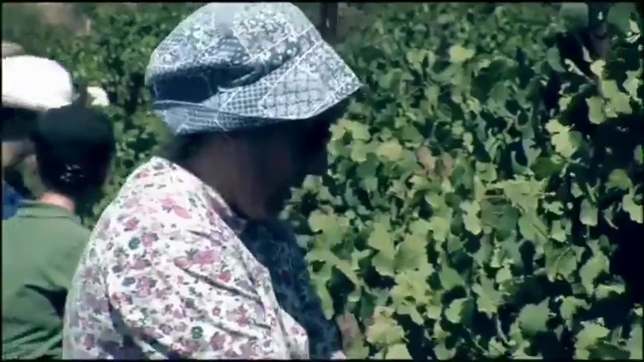 Louis Theroux Meets The Ultra Zionists - He Thinks (((They))) Suck