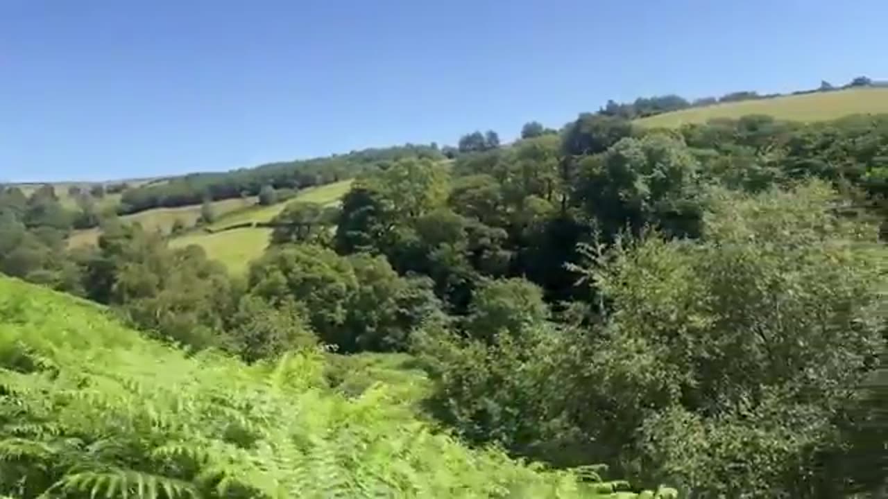 Your Daily Dose Of Internet - Cops Won't Stop Roasting Him