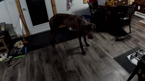 Stevie solves a puzzle and eats breakfast