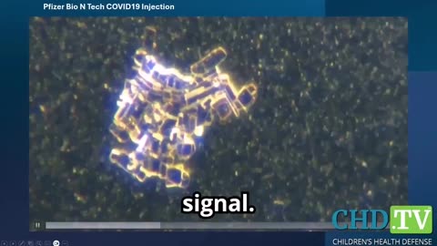 Covid injections under the Microscope - Live Nanobots inside the Bloodstream