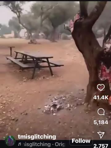 TREES BURNING FROM WITHIN IN ISRAEL SHOW GOD'S JUDGEMENT May 11 2025