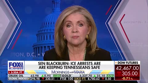 Ban Birth Tourism Loophole Bill: Blackburn on Fox Business