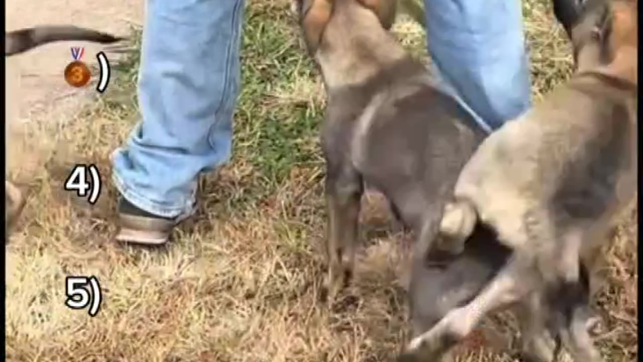 ranking best Jet2Holiday