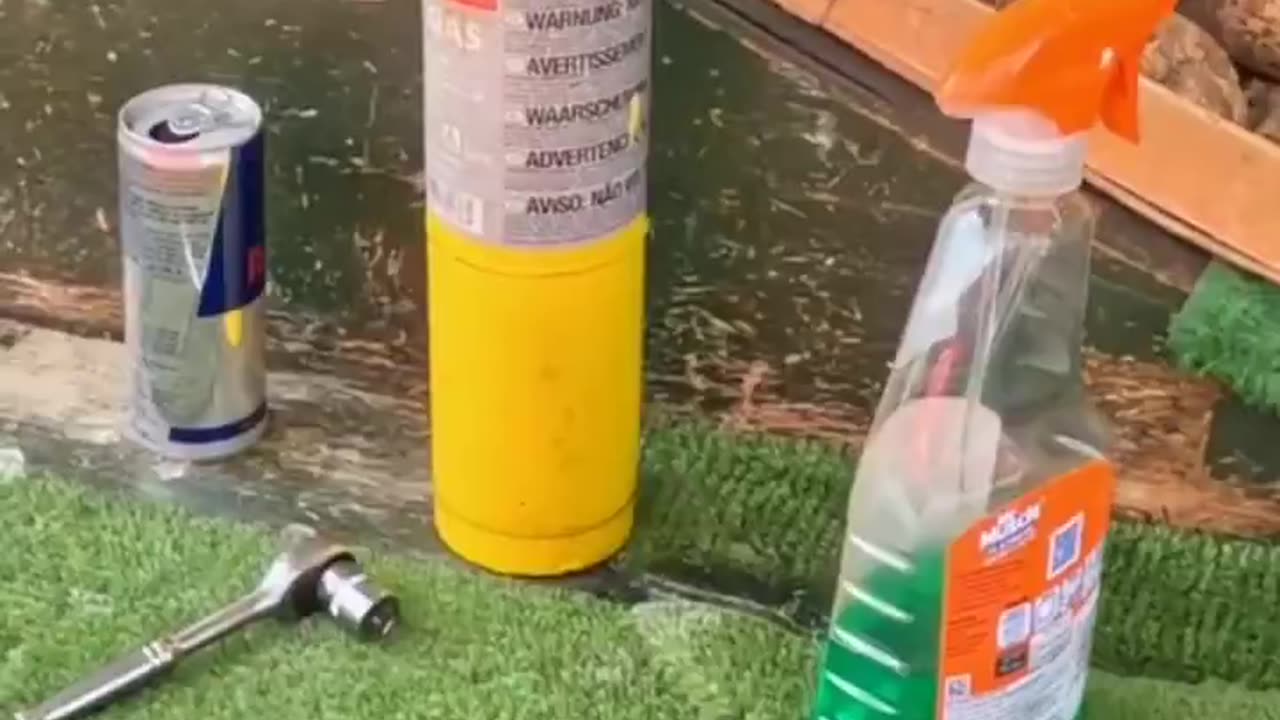 He sells food in England. Zero hygiene.